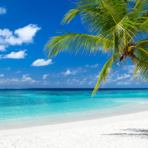 L’Escale ZEN à Mooréa